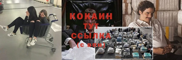 молекула духа Алексеевка