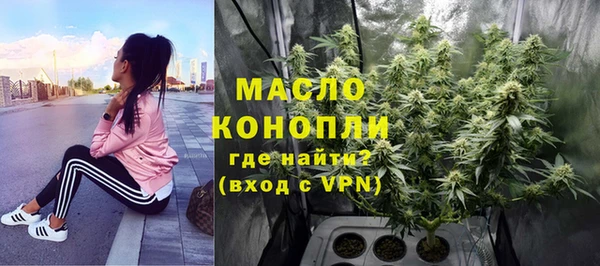 молекула духа Алексеевка