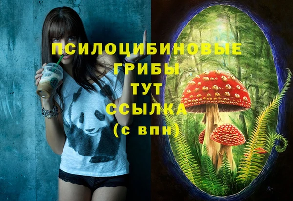 mdpv Алексин