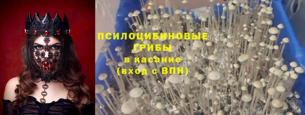 круглые Алзамай