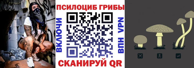 Галлюциногенные грибы мицелий  Спасск 